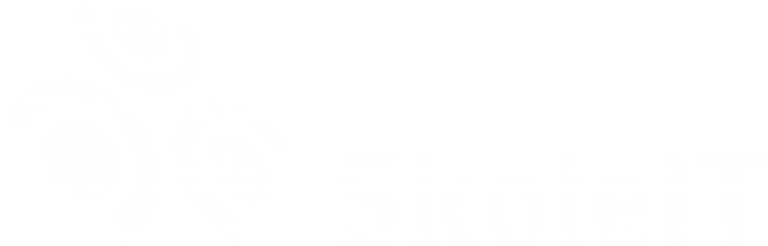 SkoleIT logo